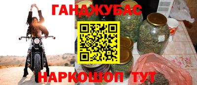 стаф Тула