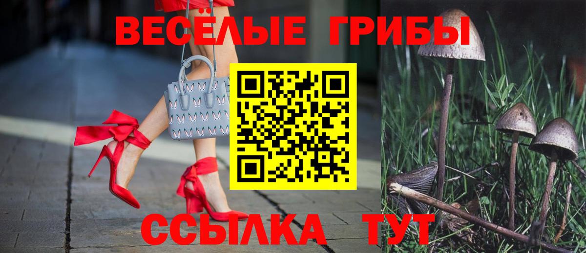 сколько стоит  Псилоцибиновые грибы Magic Shrooms  Вход с VPN  Соликамск 